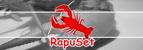 Rapuset